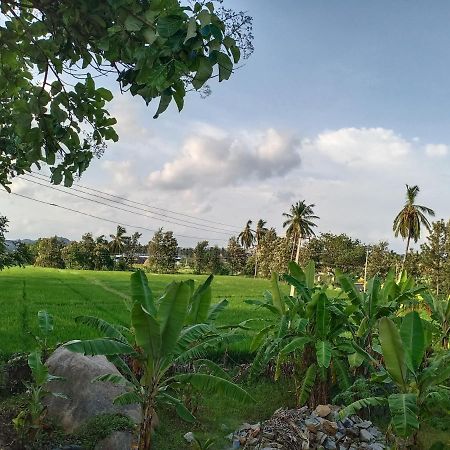 Gopi Plantation Homestay Hampi Εξωτερικό φωτογραφία