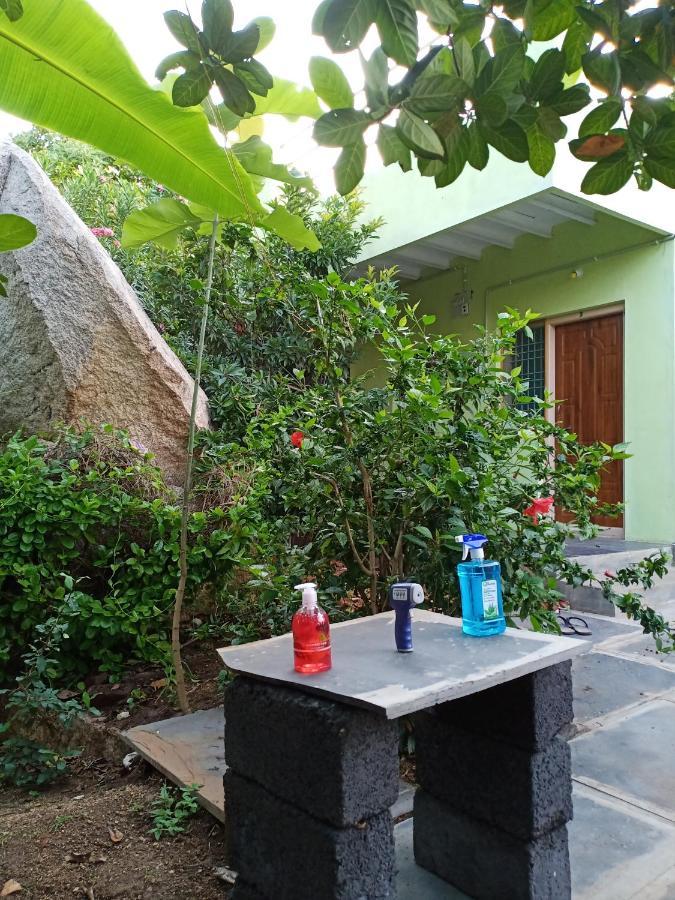 Gopi Plantation Homestay Hampi Εξωτερικό φωτογραφία