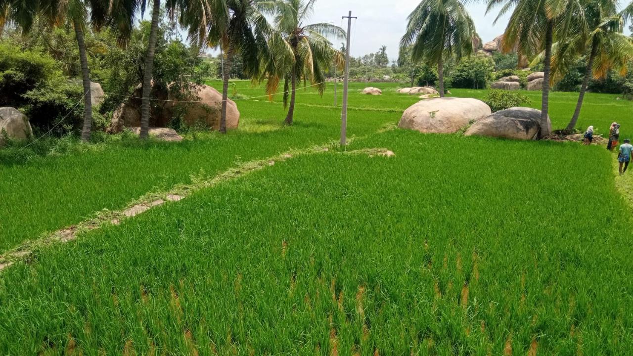 Gopi Plantation Homestay Hampi Εξωτερικό φωτογραφία