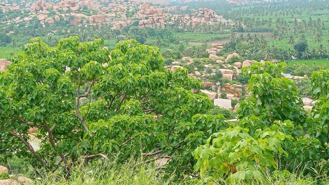 Gopi Plantation Homestay Hampi Εξωτερικό φωτογραφία