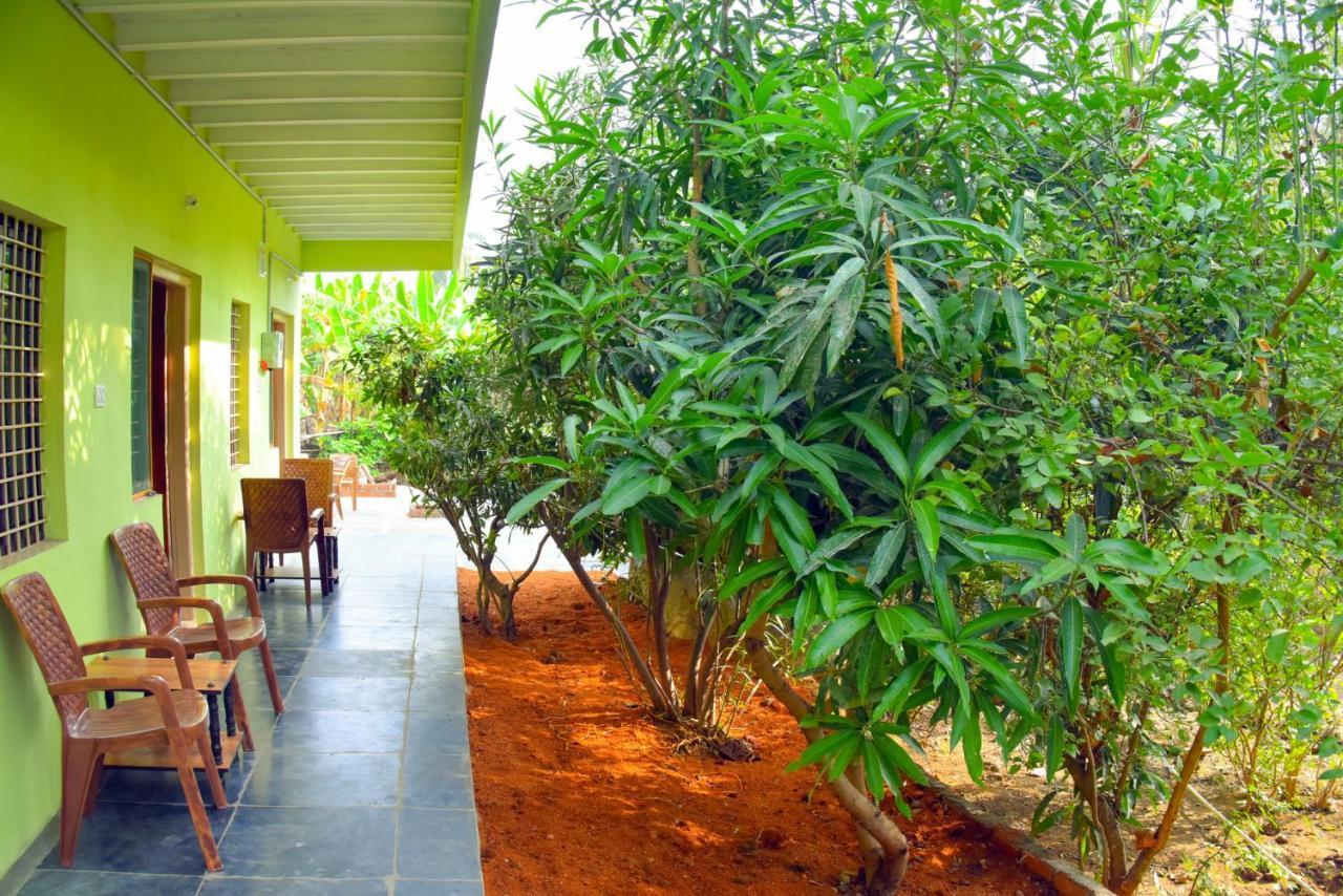 Gopi Plantation Homestay Hampi Εξωτερικό φωτογραφία