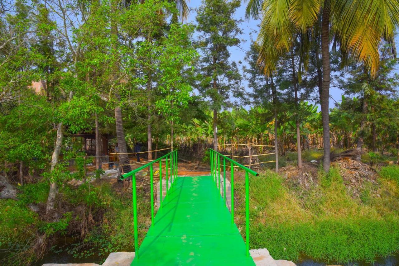 Gopi Plantation Homestay Hampi Εξωτερικό φωτογραφία